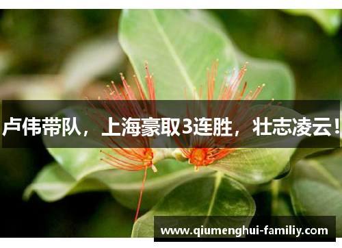 卢伟带队,上海豪取3连胜,壮志凌云! 卢伟带队,上海豪取3连胜,壮志凌云!