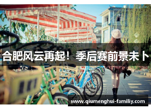合肥风云再起！季后赛前景未卜