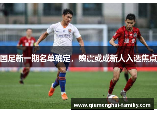 国足新一期名单确定，魏震或成新人入选焦点